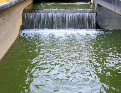 How Does a Trickling Filter Wastewater System Work in Vermont?