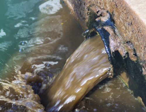 Explaining the Process of Trickling Filter Wastewater Treatment In New Hampshire?